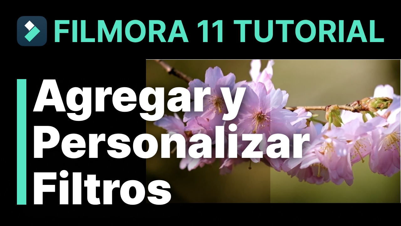 Personalizar filtros