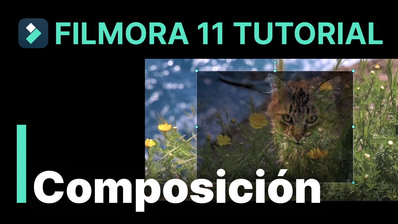 Fusionar videos