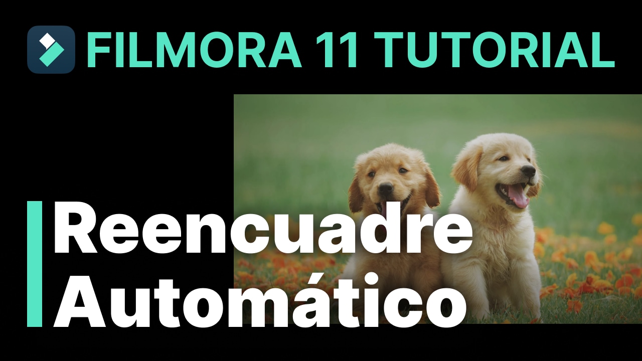 Usar reencuadre automático