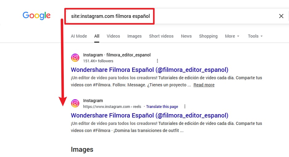Busca el perfil público en un buscador