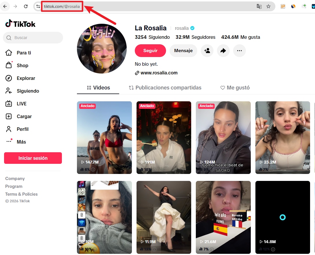 Utilizar TikTok Web