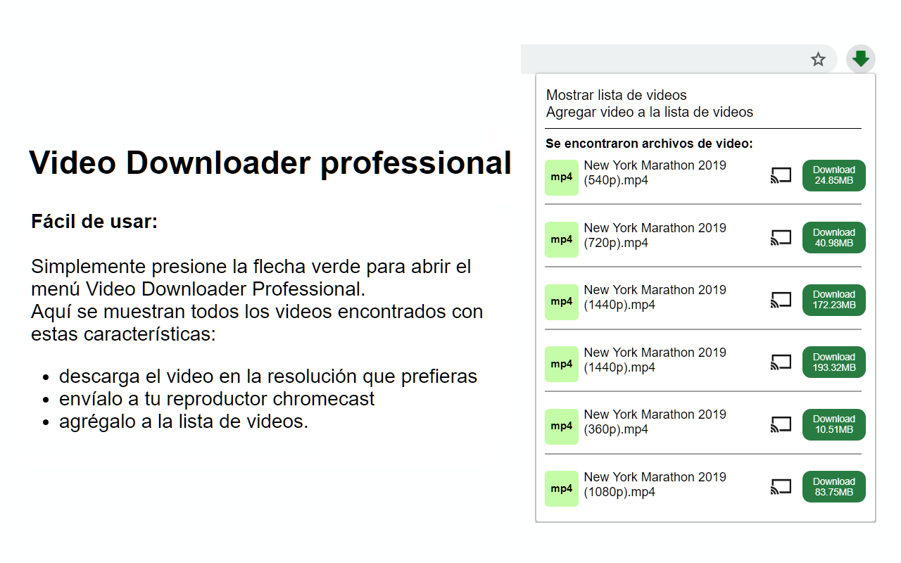 Interfaz de Video Downloader Professional en el navegador Chrome