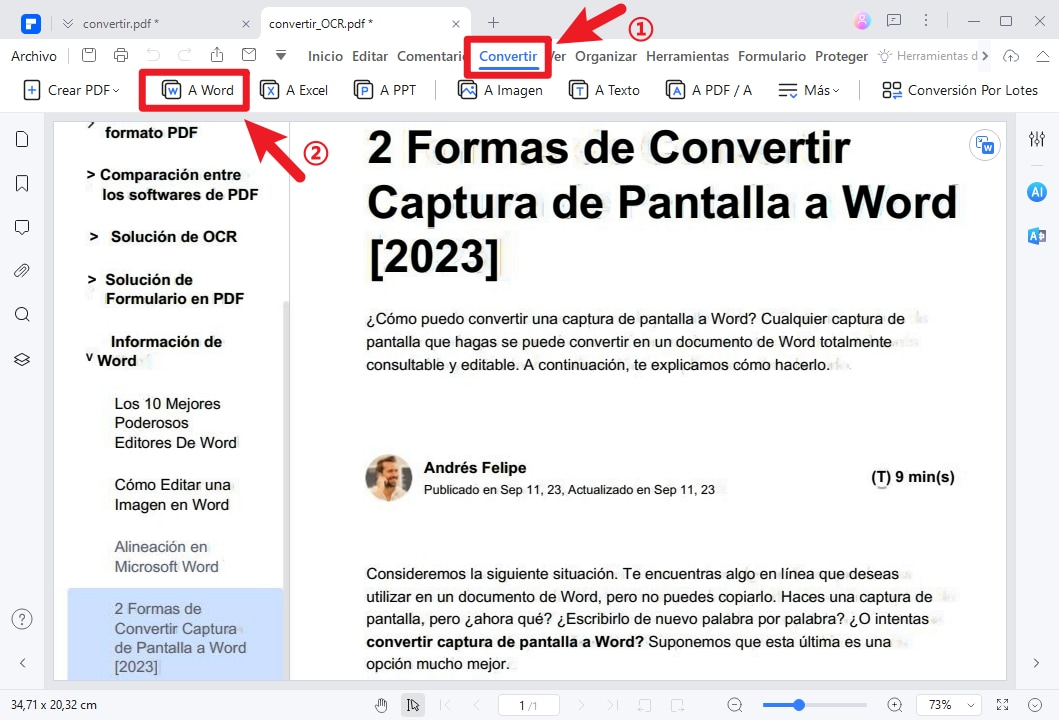 cómo editar el texto de una captura de pantalla en word