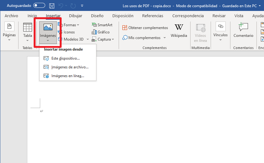 insertar PDF en documento de Word