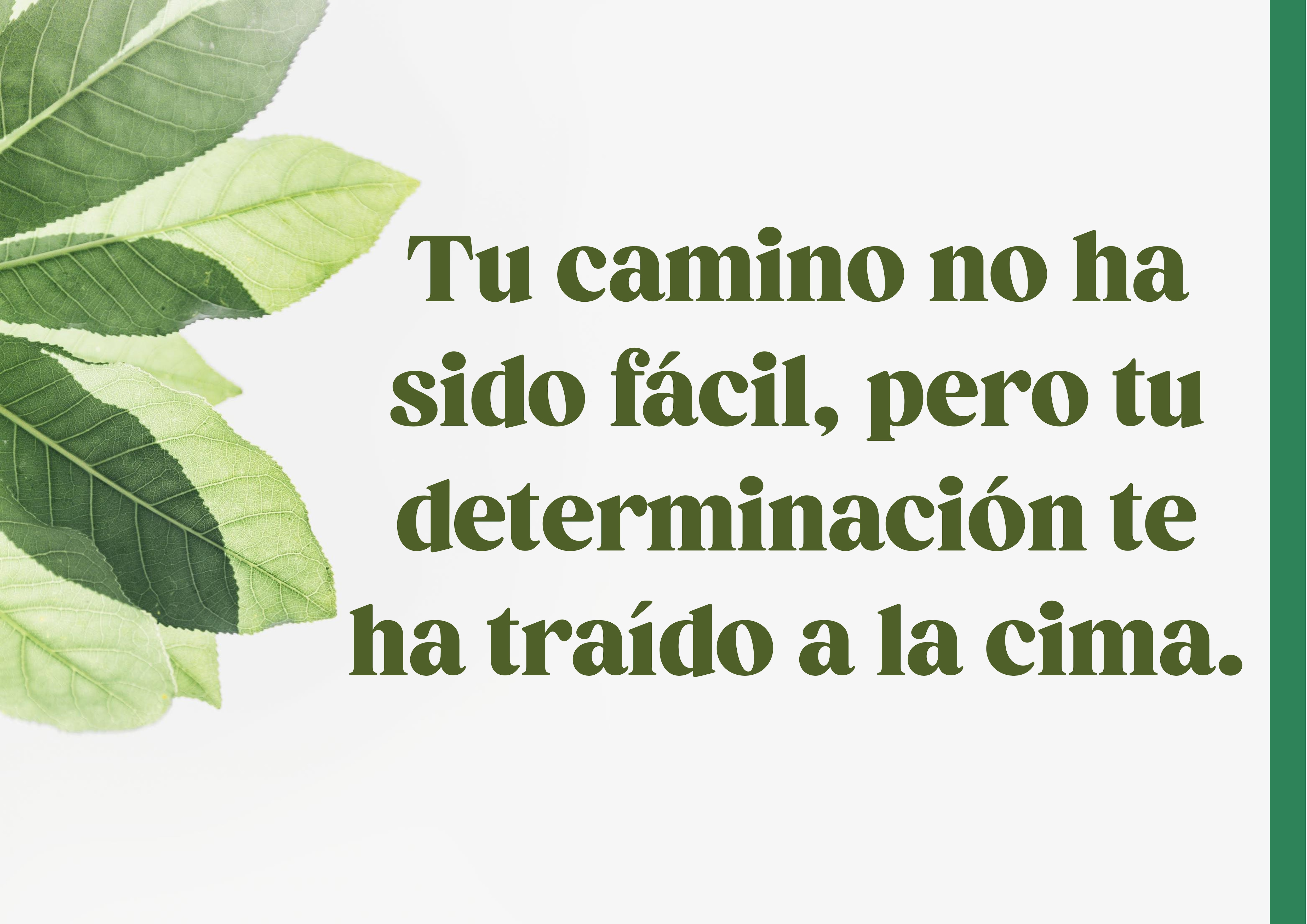 Frases de graduación para mi hijo