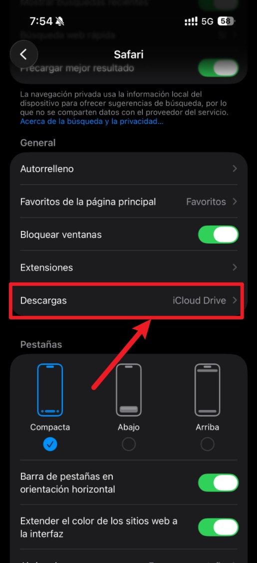 Pantalla de ajustes de Safari en iPhone mostrando las opciones de ubicación de descarga: iCloud Drive, En mi iPhone y Otra