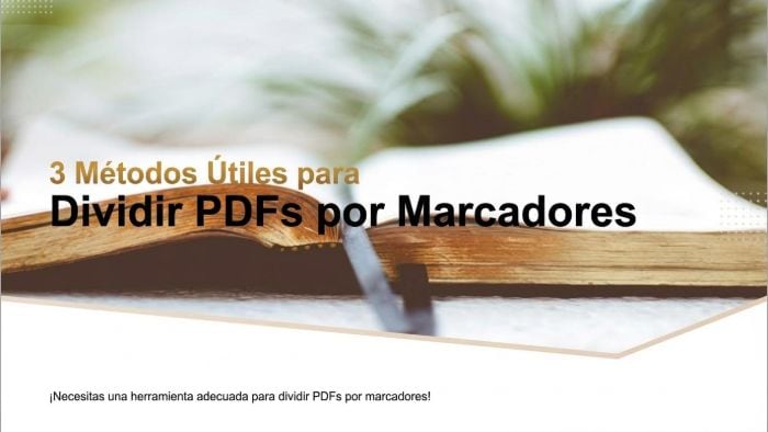 Cómo dividir un PDF por marcadores: 3 métodos