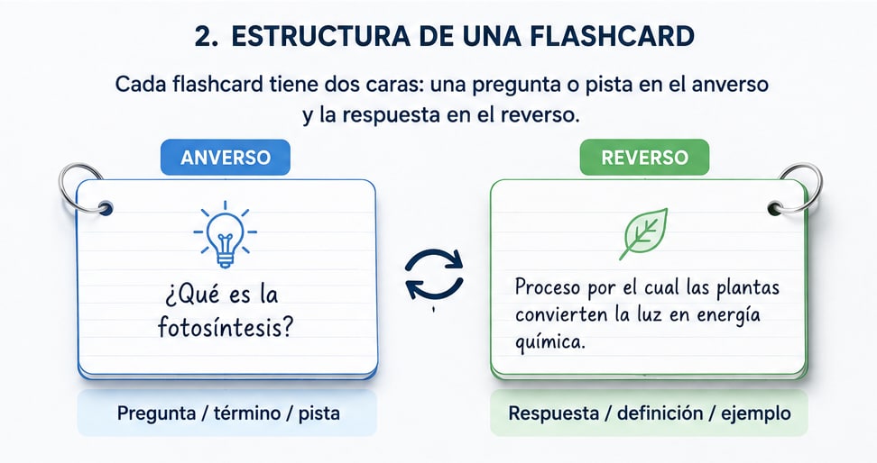 estructura de una flashcard con pregunta y respuesta