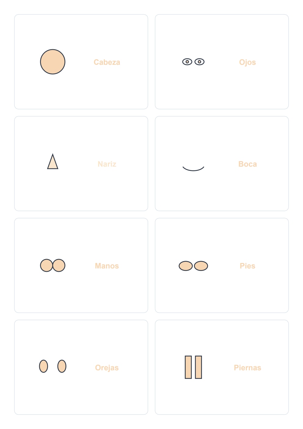 Flashcards del cuerpo humano para niños