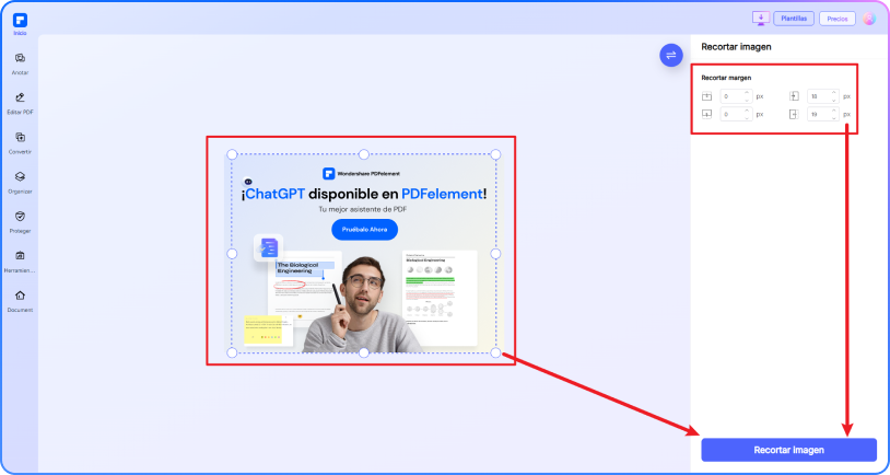 recortar imagen paso 2