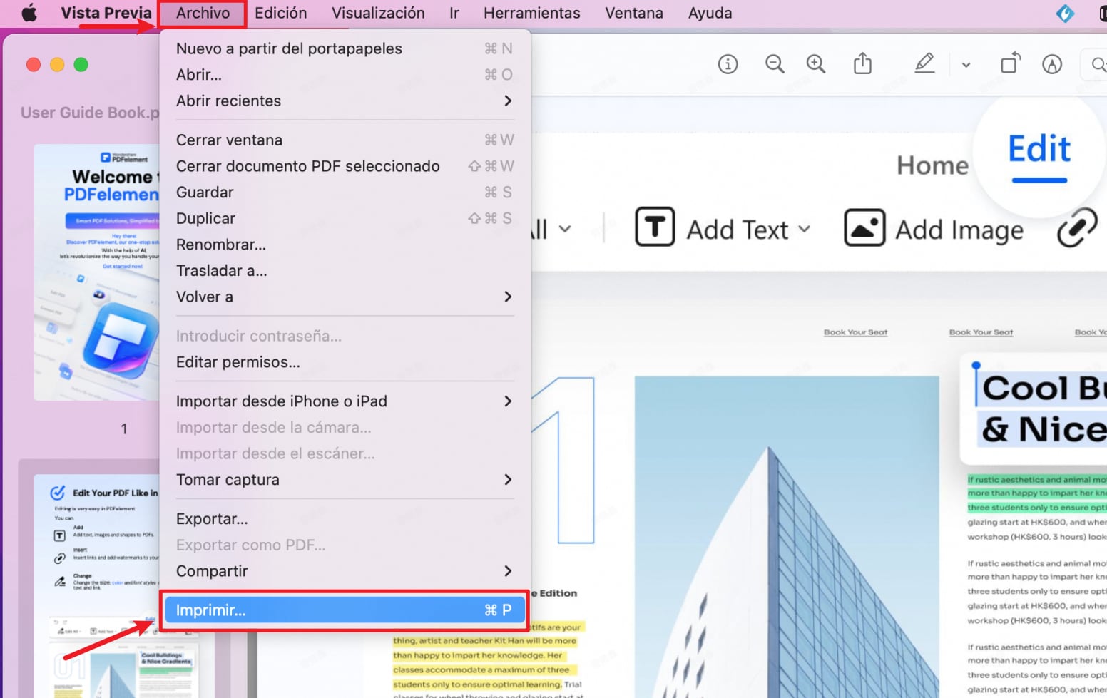 imprimir archivo pdf con Vista Previa
