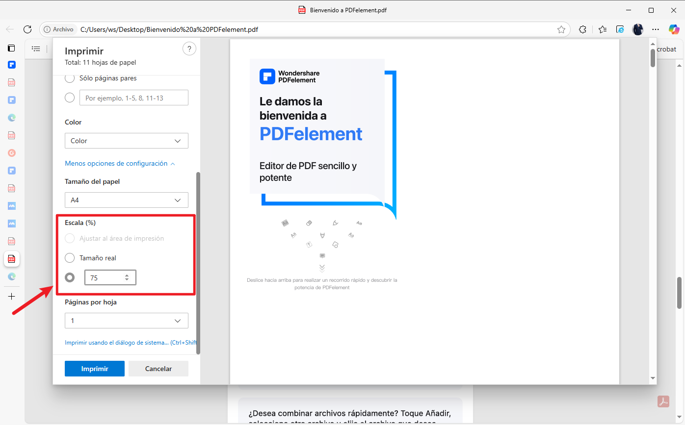 Aplica escala personalizada