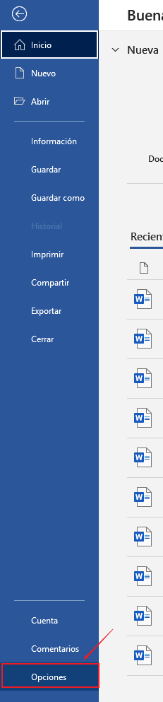 opciones de word