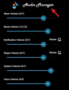 mantener pulsado el nombre audio manager