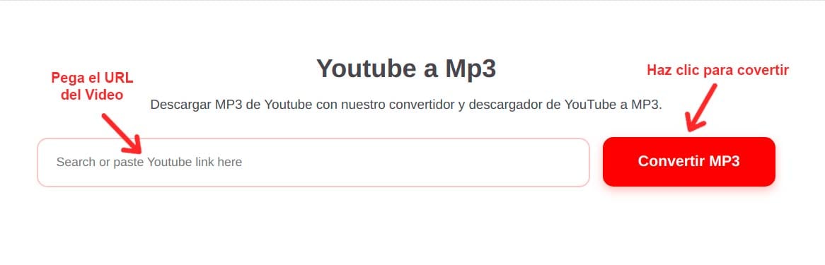 Selecciona Youtube to mp3