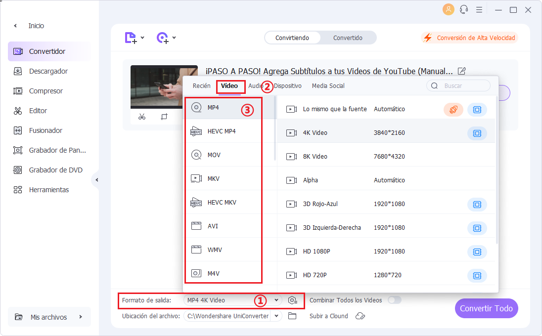 select output video format