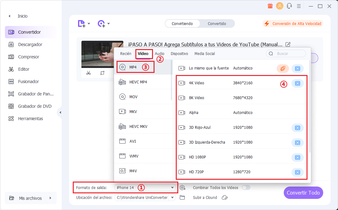 choose output video format for DVD